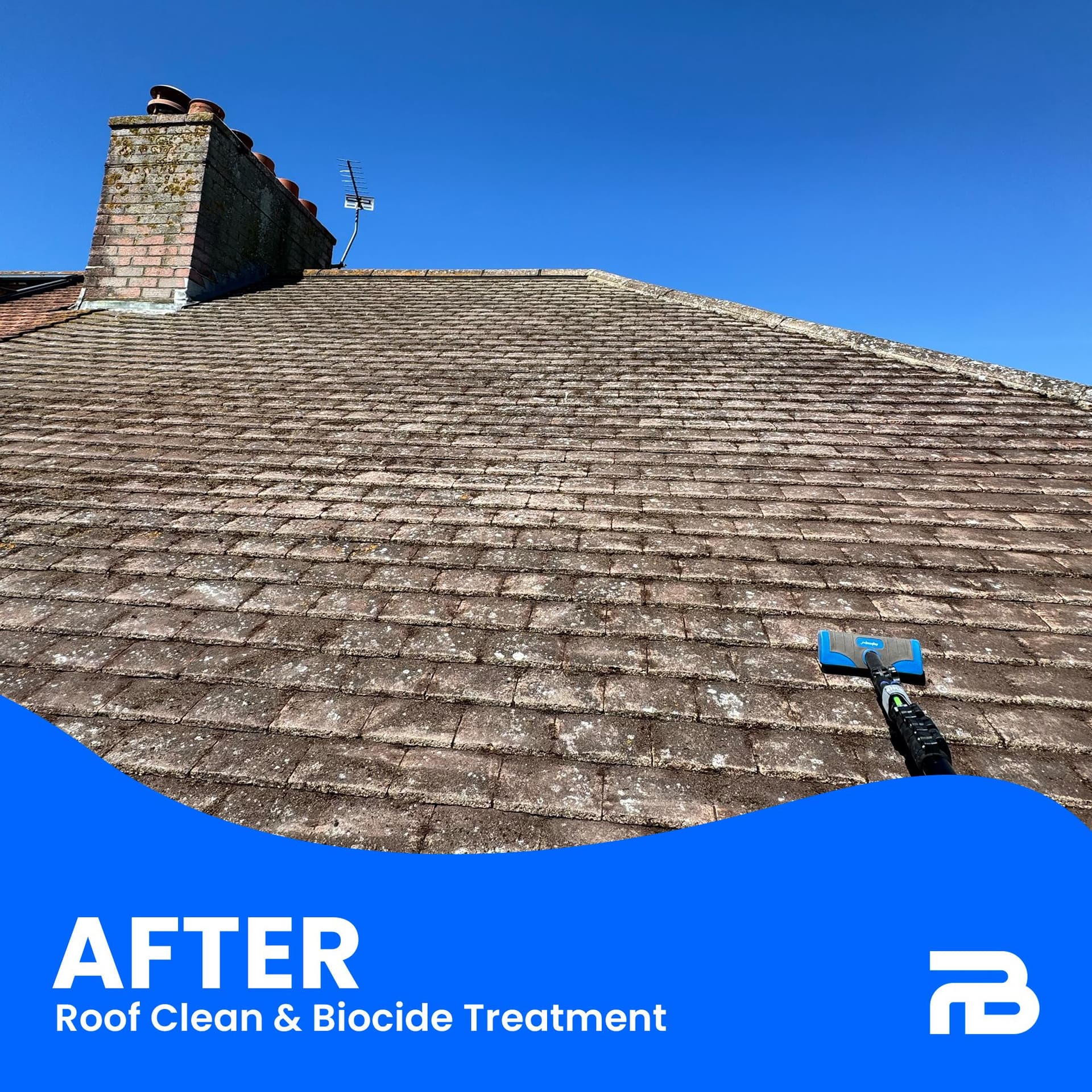 Roof Clean & Biocide Treatment