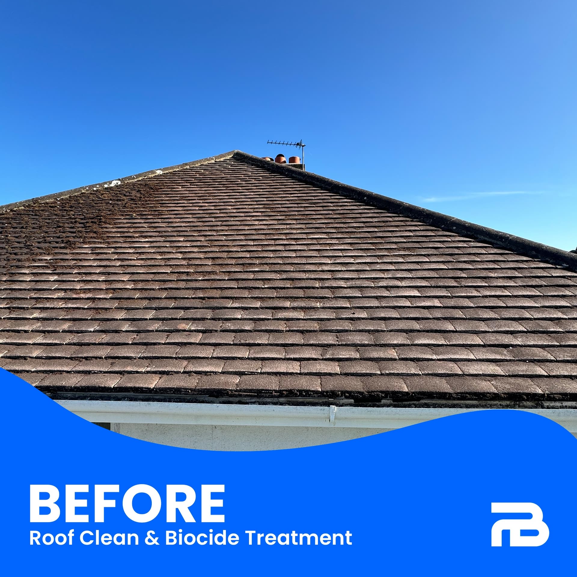 Before - Heavy moss coverage