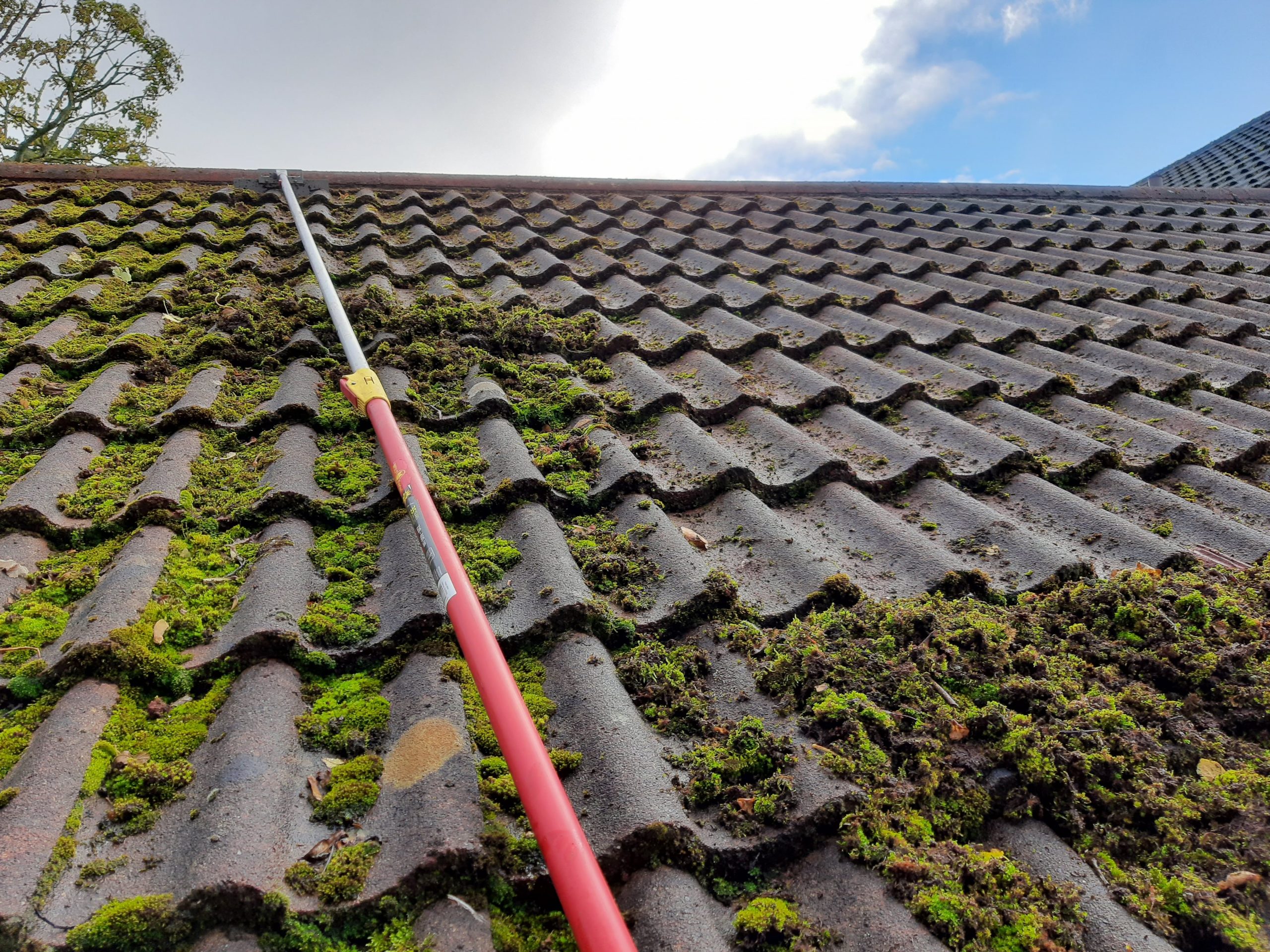 Roof cleaning in progress using a moss removal tool by PowerWashBros, specialists in professional external cleaning services across Dorset.