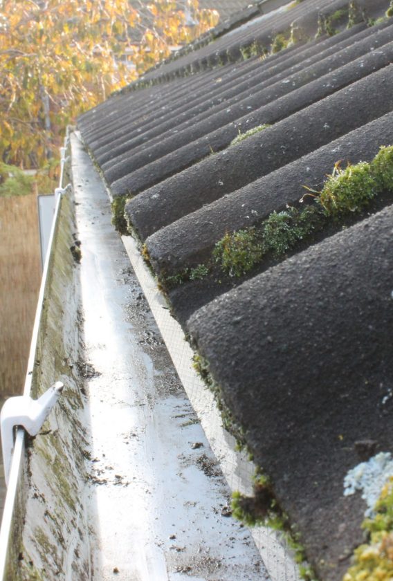 Cleaned roof gutter in Dorset after moss and debris removal by PowerWash Bros.