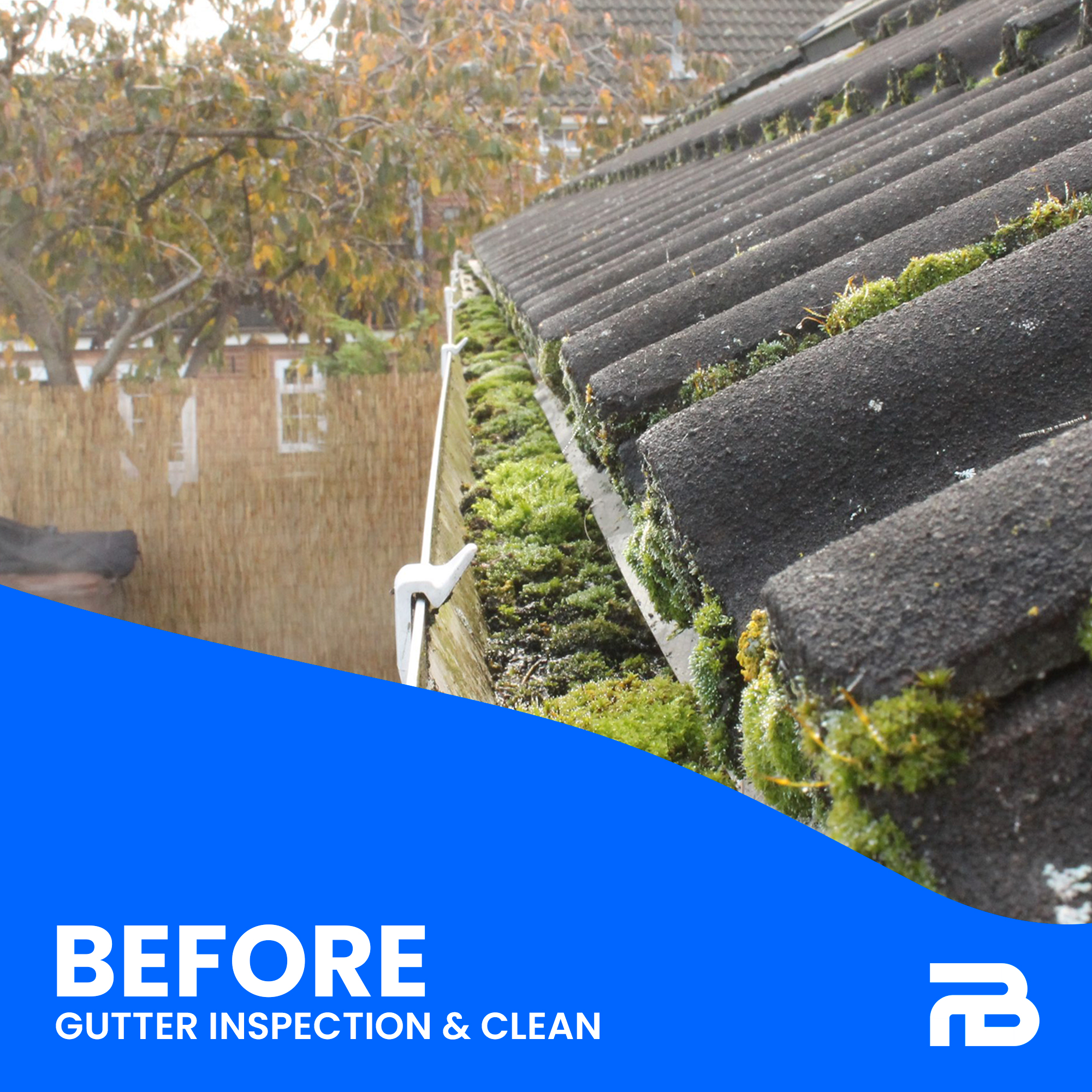 Heavily clogged gutter with moss and organic debris before cleaning service in Dorset.
